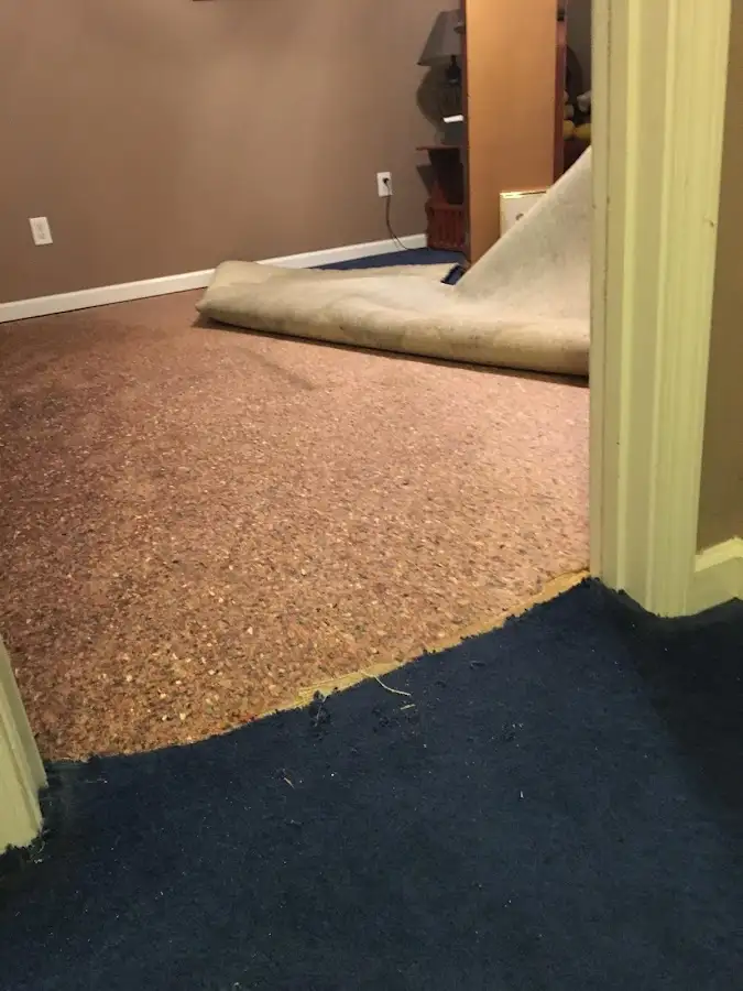 Carpet pad removal revealing water damage during Drying & Dehumidification in DuPont